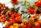 caterers in GLASGOW - Taste Outside Catering