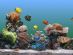 Aquariums in READING - Reading Aquatics