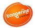 web designers in DEREHAM - Tangerine Creative