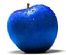 web designers in STOCKPORT - Blue Apple Studios