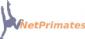 it consultancy in SOUTHAMPTON - Net Primates Ltd