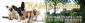 Pet Sitting in RICHMOND - Thames Petsitters