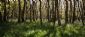 Natural Remedies in PENZANCE - The Green School Natural Remedies in PENZANCE - The Green School
