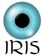 graphic design in COVENTRY - Iris Webs