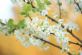 Copywriters in YORK - Little Gem Marketing