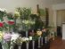  in LIVERPOOL - Lily Rose Florist Boutique