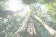 gardeners in CAMBERLEY - Tree Fellas