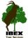 Tree Surgeons in MARLBOROUGH - Ibex Tree Services Tree Surgeons in MARLBOROUGH - Ibex Tree Services