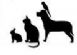  in ASHINGTON - Home From Home Pet Services