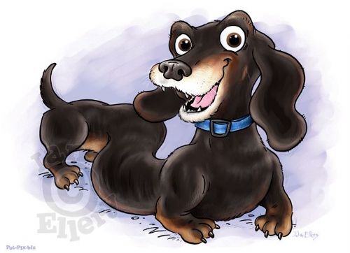 Pet Portrait - Cartoonists Hastings