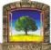 Executive Search Consultants in WIMBORNE - Oakstone