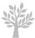 Tree Surgeons in POOLE - Lennox services
