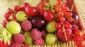 hairdressers in LONDON - Vigour Nutritional (London) Therapy hairdressers in LONDON - Vigour Nutritional (London) Therapy