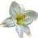 Funeral Services in BURTON-ON-TRENT - J Hylton & Sons Ltd
