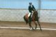 Horse Trainers in DARWEN - Horse Helpers Lancashire
