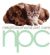dog walkers in HUDDERSFIELD - Neighbourhood Pet Care