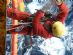 Marine Rigging in LOCHGELLY - Harnessed & Hung