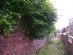 Weed Control in BURY - Aintree Environmental