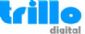 web designers in SOLIHULL - Trillo Digital