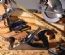 builders in NEWTON ABBOT - Handyman Dan