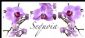 Beauty Treatments in MAIDSTONE - Sequoia