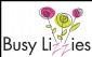  in NORTH SHIELDS - Busy Lizzies Flowers