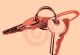 Serviced Apartments in SHOREHAM-BY-SEA - Short Stay Shoreham Serviced Apartments in SHOREHAM-BY-SEA - Short Stay Shoreham