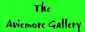 Art Galleries in AVIEMORE - The Aviemore Gallery