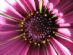 Secretarial Services in BRIGHTON - Organise Me Please Secretarial Services in BRIGHTON - Organise Me Please