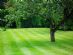 gardeners in WATFORD - Vivid Garden Services gardeners in WATFORD - Vivid Garden Services