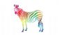 in BRISTOL - Rainbow Zebra in BRISTOL - Rainbow Zebra