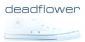 Website Maintenance in BIRMINGHAM - Deadflower Web Design and Development