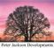 tree surgeons in STOKE-ON-TRENT - Peter Jackson Developments