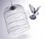 hypnotherapy in YORK - Freedom-Solutions