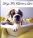 Dog Grooming in MANCHESTER - Dogs For Barbers Ltd Dog Grooming in MANCHESTER - Dogs For Barbers Ltd