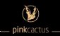 web designers in MAIDSTONE - Pink Cactus