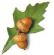 Charities in HUNTINGDON - St Ives Acorn Cancer Support Group