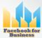 Website Marketing in THETFORD - Facebook for Business
