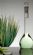 Natural Remedies in NOTTINGHAM - The Aspire Team Natural Remedies in NOTTINGHAM - The Aspire Team