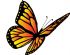 massage therapists in GLASGOW - Linda Brennan Holistic Therapies