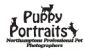 photographers in NORTHAMPTON - Puppy Portraits