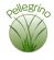 Leather Goods in BELPER - England Pellegrino