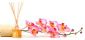 beauty salons in SWINDON - QT Beauty beauty salons in SWINDON - QT Beauty