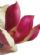 Beauty Therapists in CHIPPENHAM - Awen Health and Beauty