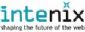Web Development in PINNER - Intenix