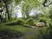 gardeners in YORK - Green Goddess Gardening