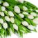 Baby Naming Ceremonies in CHRISTCHURCH - Dorset Civil Ceremonies