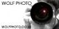 Photography in WATFORD - Wolfphoto Watford