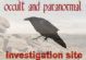 Paranormal Investigation in WORTHING - Worthing Occult and Paranormal Investigations