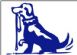 pet sitting in WARRINGTON - Home and Away Pet Care pet sitting in WARRINGTON - Home and Away Pet Care